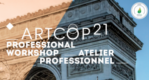 Rapport-Atelier-professionnel-ArtCOP21